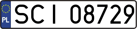 SCI08729