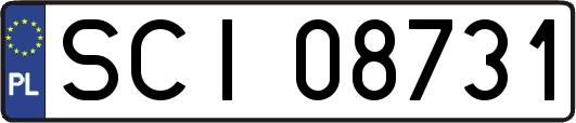 SCI08731