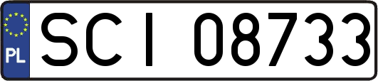 SCI08733