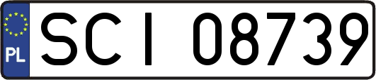 SCI08739