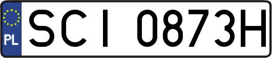SCI0873H