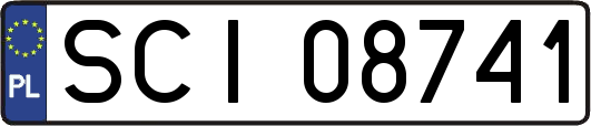 SCI08741
