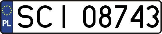 SCI08743