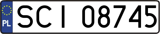 SCI08745
