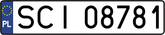 SCI08781