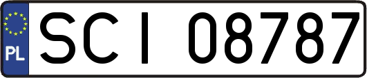SCI08787