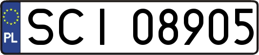 SCI08905