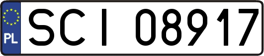 SCI08917