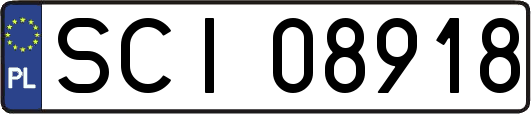SCI08918