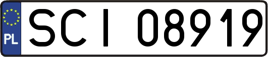 SCI08919