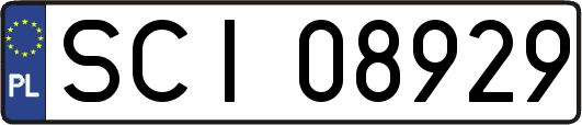 SCI08929