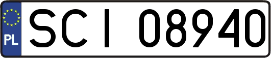 SCI08940