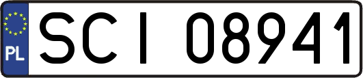 SCI08941