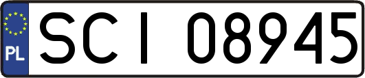SCI08945