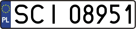 SCI08951