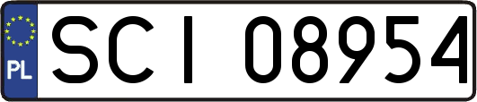 SCI08954