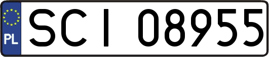 SCI08955