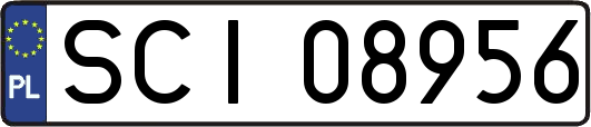 SCI08956