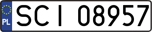 SCI08957