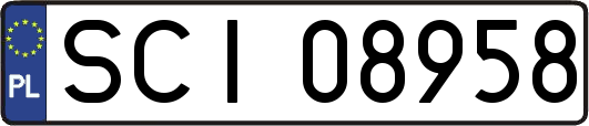 SCI08958