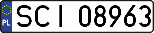 SCI08963