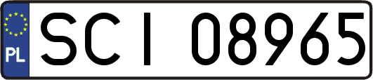 SCI08965