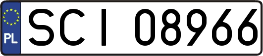 SCI08966