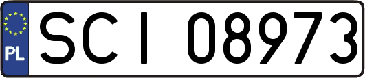SCI08973