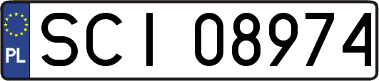 SCI08974