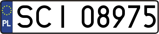 SCI08975