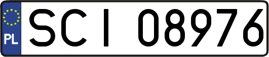 SCI08976