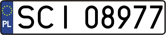 SCI08977