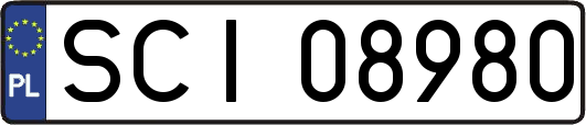 SCI08980