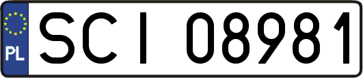 SCI08981