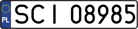 SCI08985