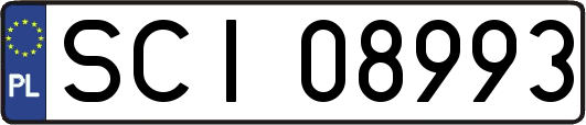 SCI08993