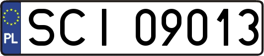 SCI09013