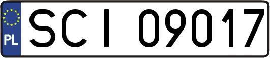 SCI09017
