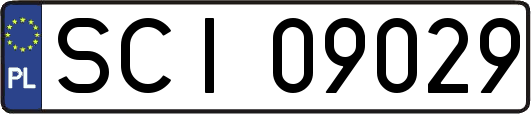 SCI09029