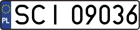 SCI09036