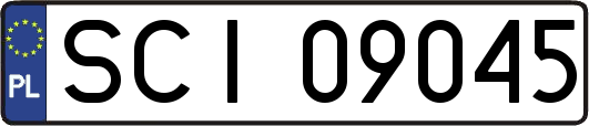 SCI09045