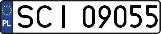 SCI09055
