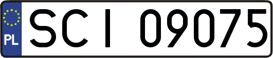 SCI09075