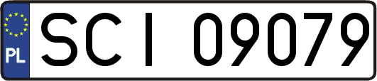 SCI09079