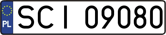 SCI09080