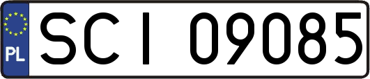 SCI09085