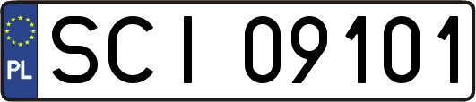 SCI09101