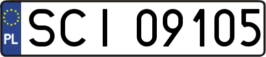 SCI09105