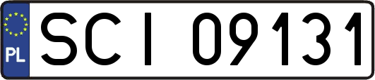 SCI09131