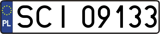 SCI09133
